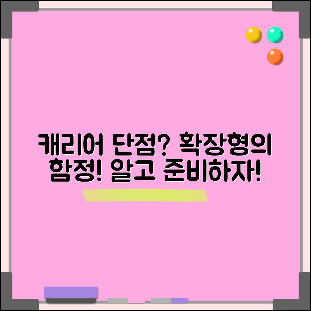 캐리어 확장형 단점, 알고 계셨나요?
