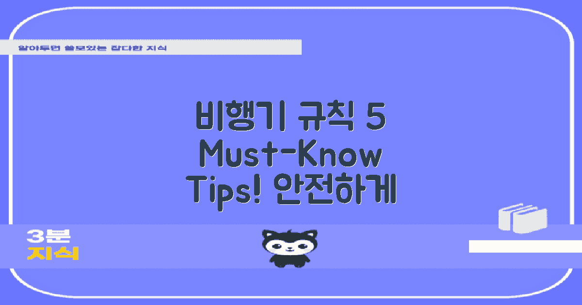 5가지 비행기 사용 규칙