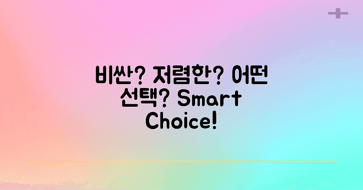 비싼 vs 저렴한 옵션