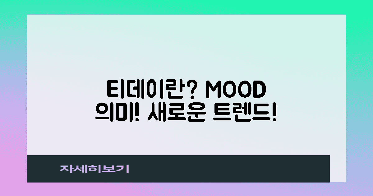 티데이란 무엇인가?