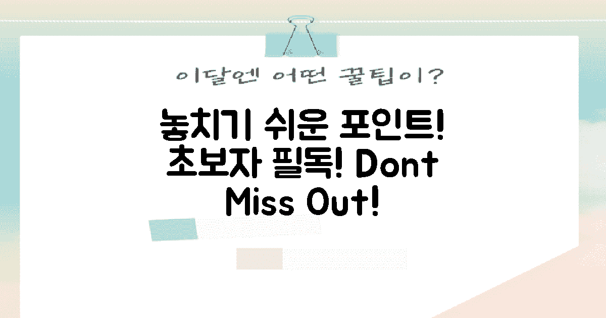 초보자가 놓치는 점은?