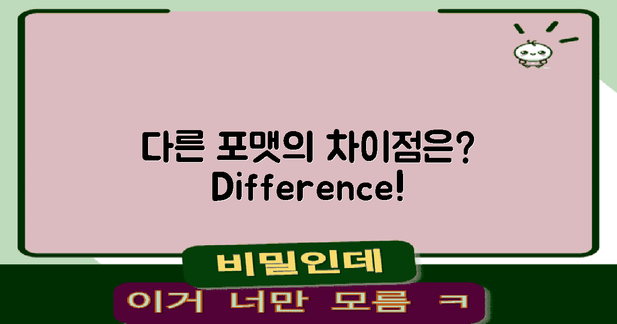 다른 포맷과의 차이는?