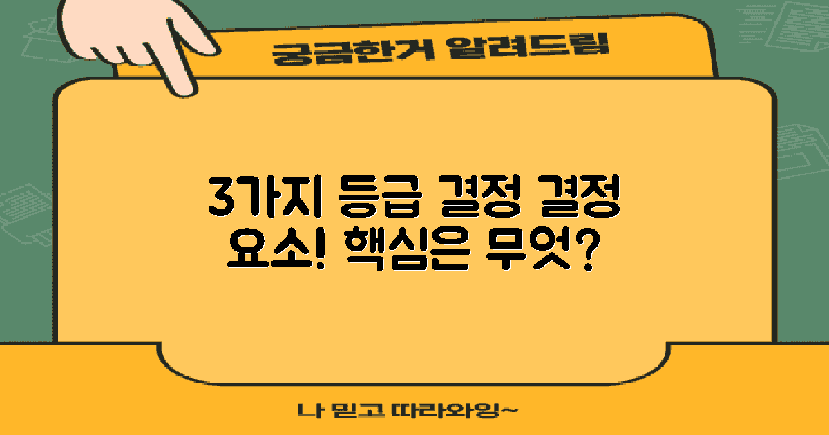 3가지 등급 결정 요소